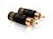 ViaBlue T6 RCA Stik