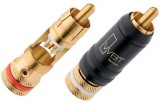 WBT RCA Midline 0147
