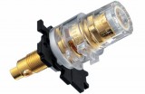 WBT Pole terminal Midline 0765